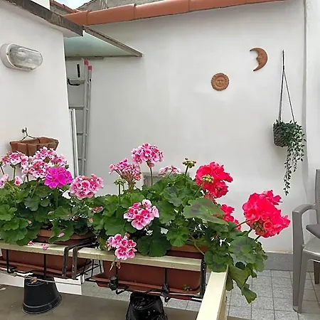 Cornabrugia Patio فيرناتْسا