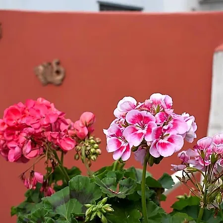 Cornabrugia Patio شقة