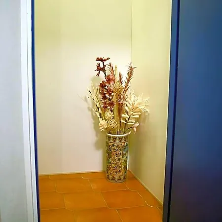 Cornabrugia Patio شقة